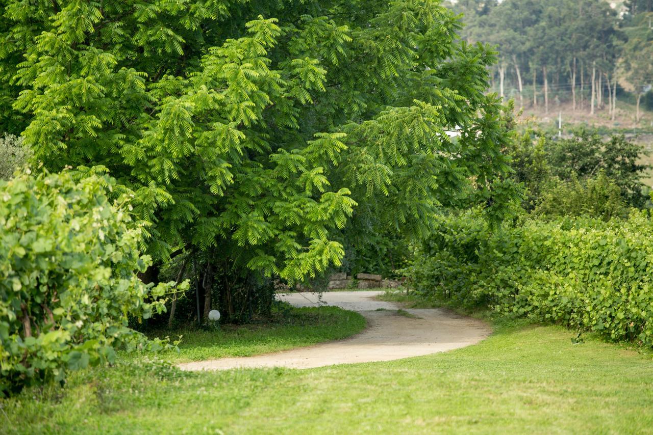 Quinta De Lourosa Guest House Lousada Luaran gambar