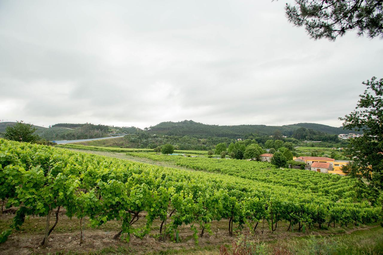 Quinta De Lourosa Guest House Lousada Luaran gambar
